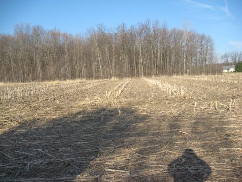 Property photo 22 - 44 Acres Offered in 3 Tracts